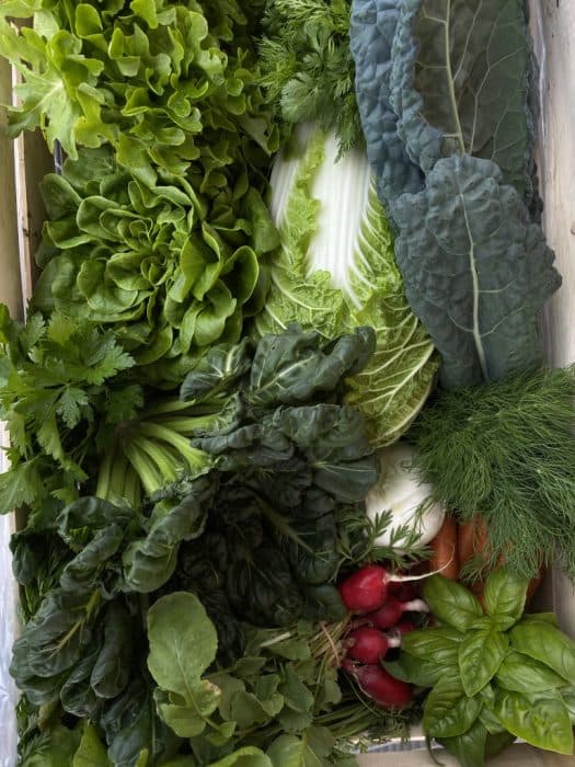 Nádland Farm NAGY szezonkosár - 3