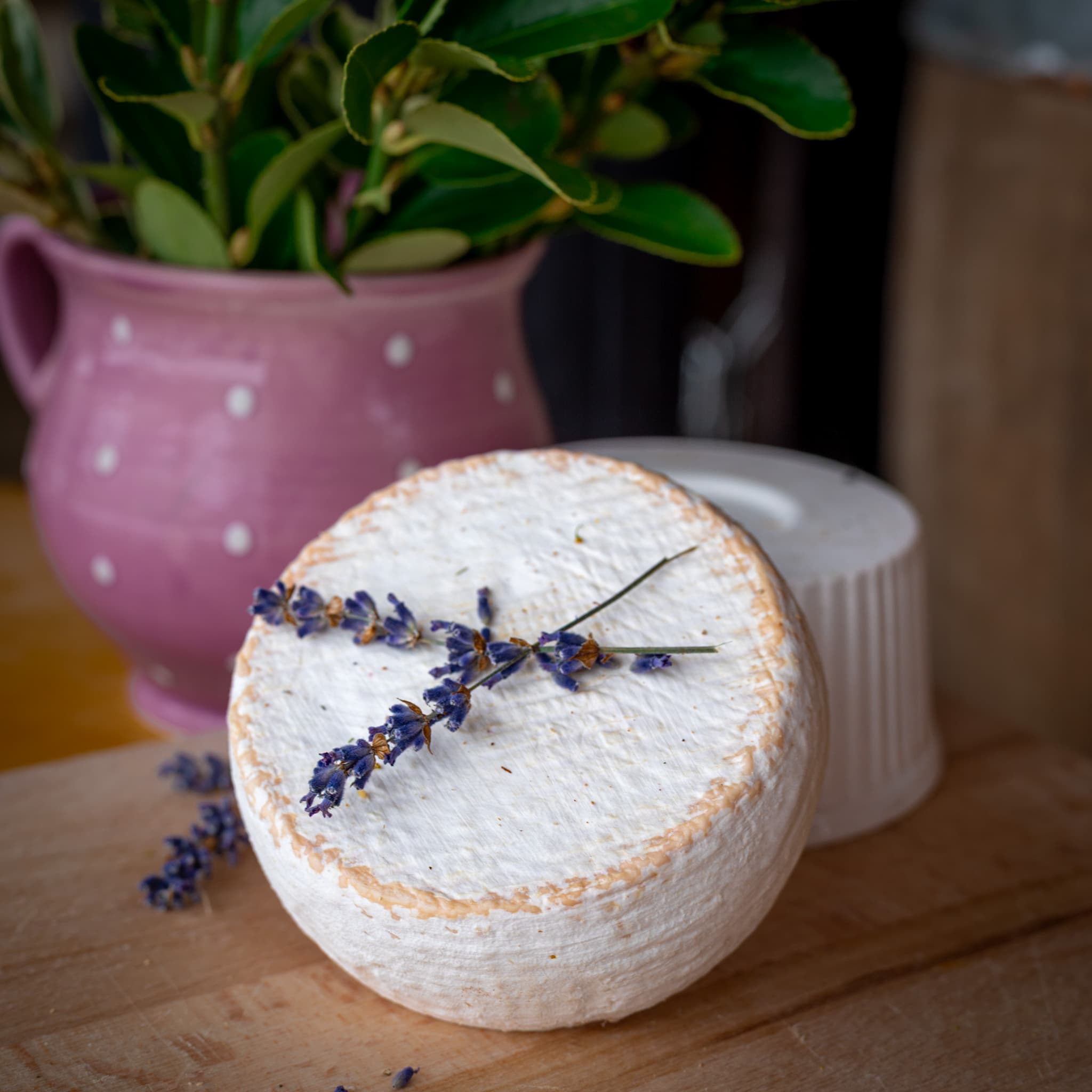 Camembert típusú fehérpenészes sajt