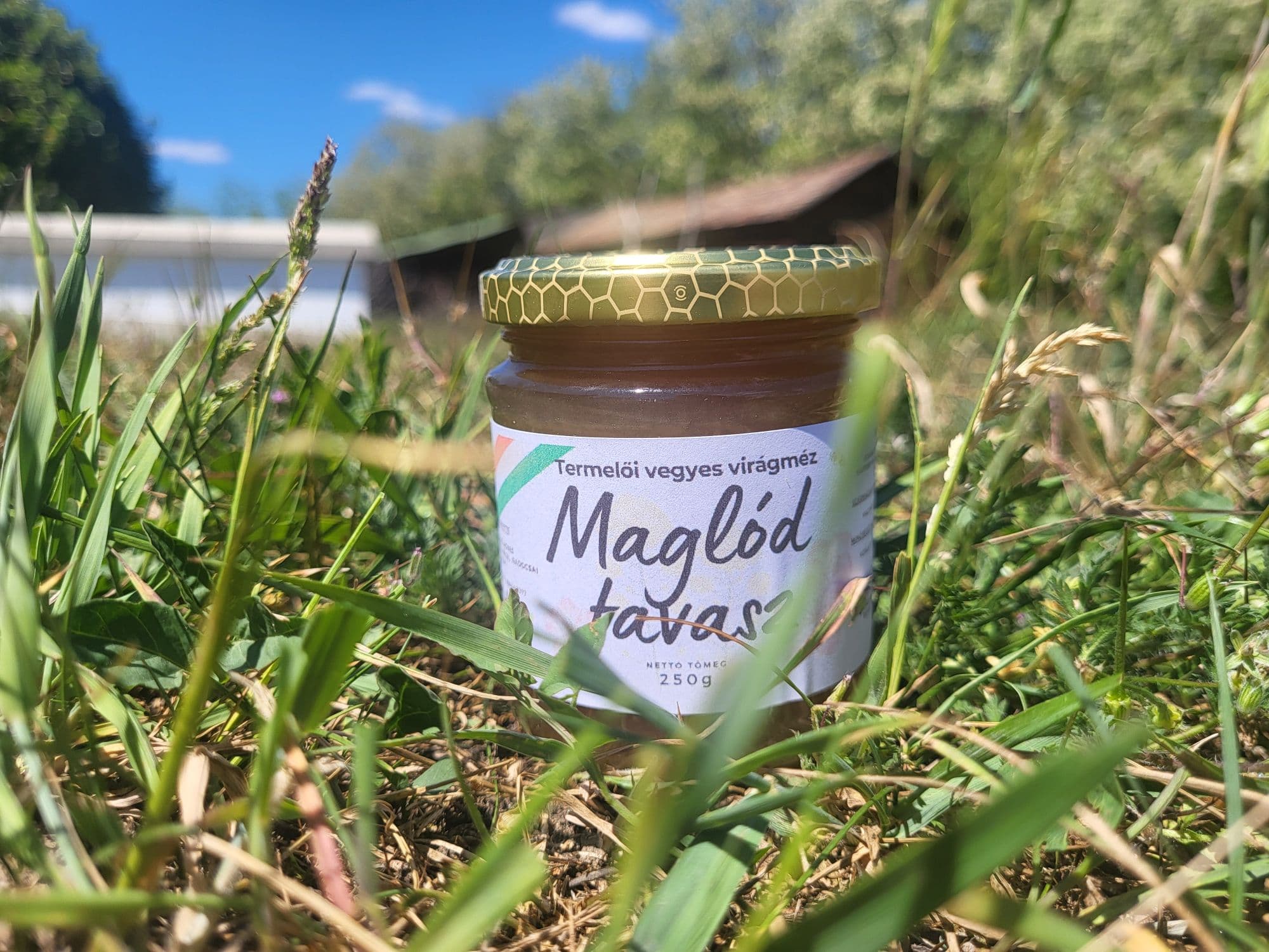 Maglód Tavasz méz – 250 g - 1
