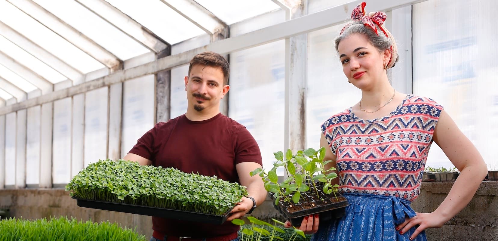 Remény Farm borítókép